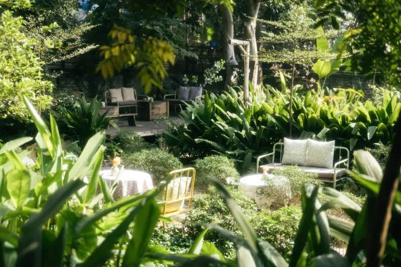 Simple Maintenance Habits for a Healthier Garden