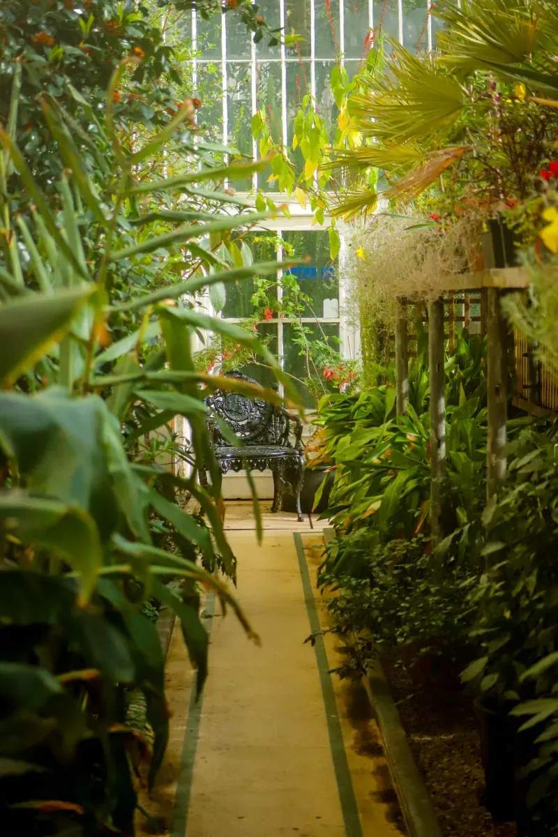 Maple Leaf Garden Design & Care 5
